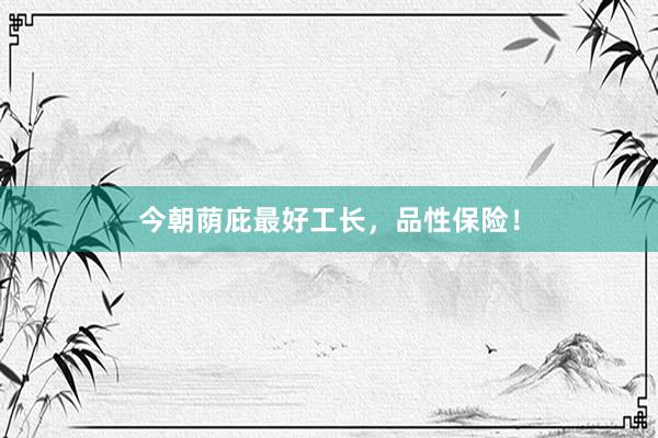 今朝荫庇最好工长,品性保险!