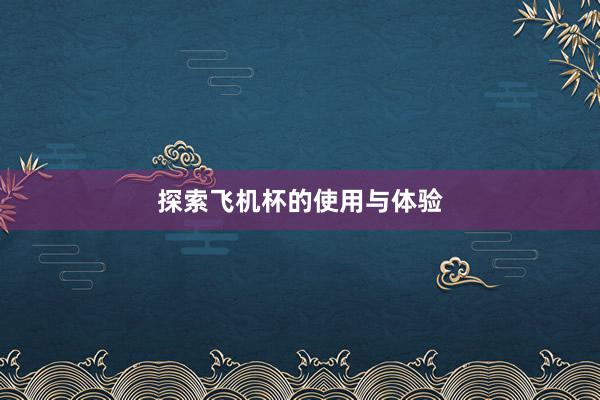 探索飞机杯的使用与体验