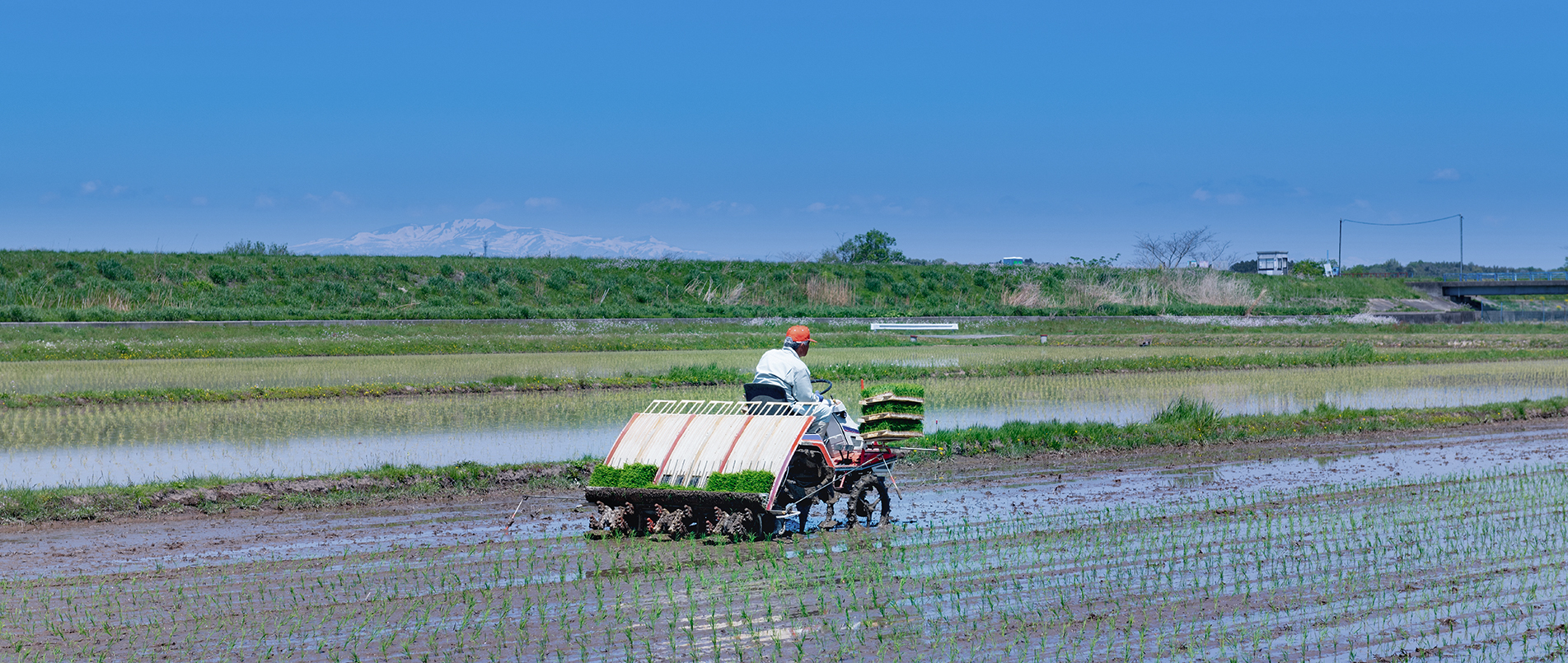 农机水田作业的“智慧大脑”——沃地泰FMA210，告别“经验种植”，开启精准高效农业之旅